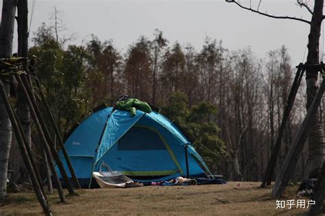 昌平温榆河畔私藏一处宝藏露营地！扎帐篷、户外赛、采摘，超多游乐活动等你来