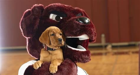Meet Charger, Union’s new mascot | Union College