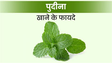 पुदीना खाने के फायदे | Health Benefits Of Mint Leaves In Hindi | pudina ...