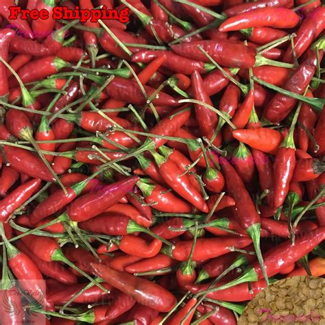 Thai Red Chili SEEDS | Hot Chili Pepper, Burapa, Ớt Hiểm Cay SEEDS ...