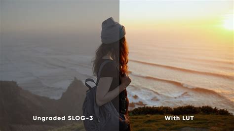 Log Luts 的图像结果