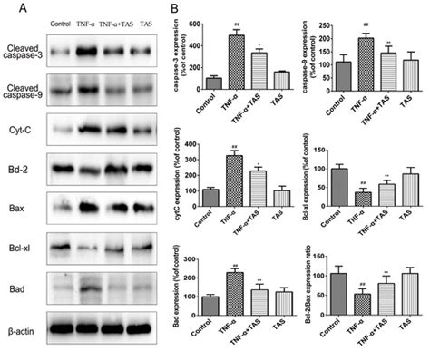Protective Effects of Total Saponins of Aralia elata (Miq.) on ...