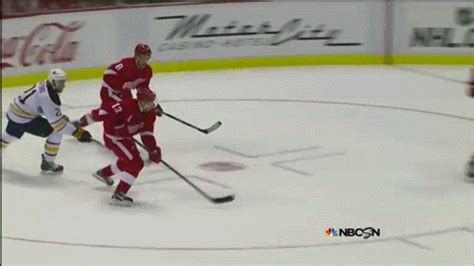 Image result for Datsyuk Deke