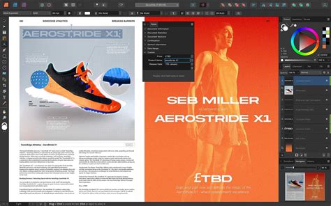 If I re-started my creative journey without Adobe, these are the 5 ...