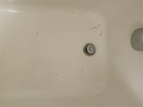 Gross - Review of HomeTowne Studios Columbus, Columbus - Tripadvisor