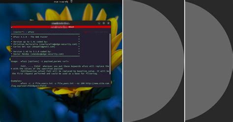 Image result for Win32 Loader Kali Linux Problem Solve