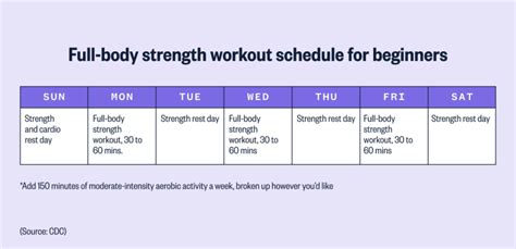 Image result for Daily Workout Routine for Beginners