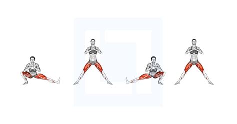 Image result for Squats Using Exercise Ball