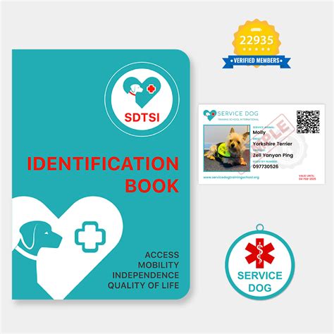 Psychiatric Service Dog Task Training 的图像结果