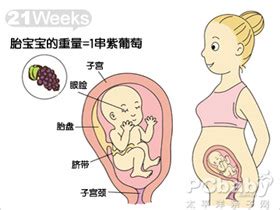 怀孕21周胎动、宫高_孕21周胎儿发育情况_亲子百科_太平洋亲子网