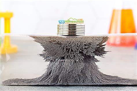 Magnetic Science Experiments 的图像结果