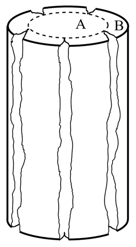 Experimental Investigation of Concrete Transverse Deformations at ...