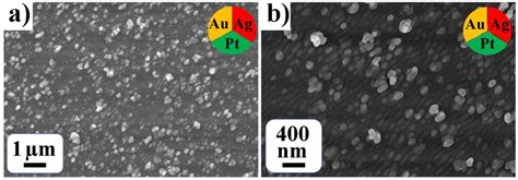 Single Step Laser-Induced Deposition of Plasmonic Au, Ag, Pt Mono-, Bi ...