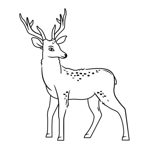 Deer Outline Images Clipart