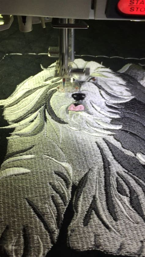 Image result for Janome Tutorial for Embroidery