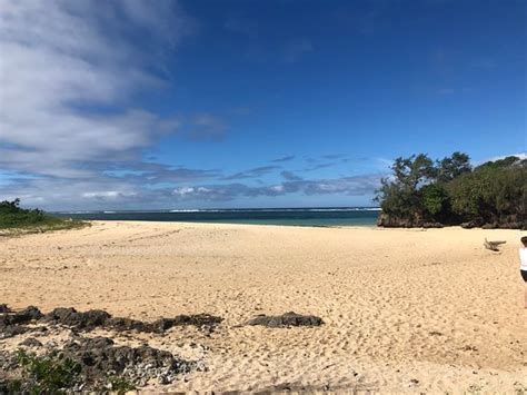 Ecotrax Fiji (Sigatoka) 2019 | What to Know Before You Go (with Photos ...