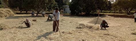 Ramgold Jowar Flour/Fresh Sorghum Flour/Stone Grounded/NPOP Certified ...