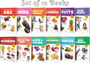 My First (Eng-Hindi) Picture Book Collection For Early Learning With 12 ...