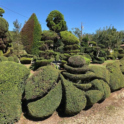 PEARL FRYAR'S TOPIARY GARDEN (2026) All You Need to Know BEFORE You Go ...