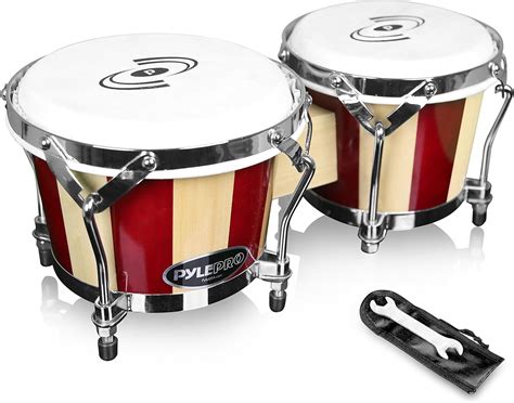 20+ Types Of Drums Around The World With Names & Pictures