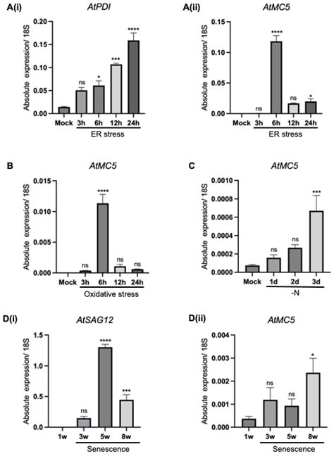 Characterising the Gene Expression, Enzymatic Activity and Subcellular ...