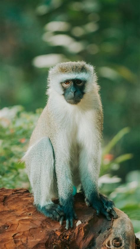 Madrid Formula 1 Circuit: Madrid to stage Formula 1 from 2026 with ...