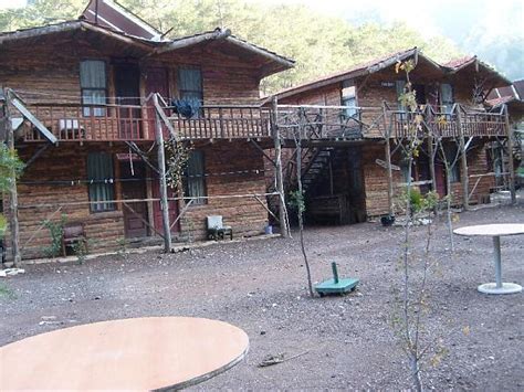 Antalya/Olimpos - agaclar.net