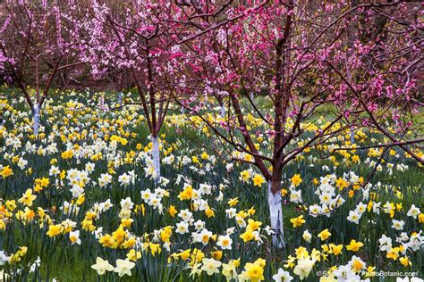 Image result for Spring Boot Default JSON Exception