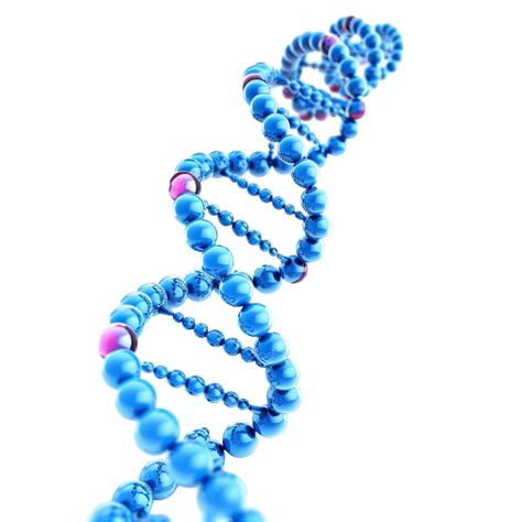 Ilustración 3d De Doble Hélice De Adn PNG ,dibujos Adn, Doble Hélice ...