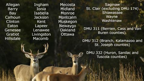 NRC approves MI deer hunting regulation changes for upcoming season ...