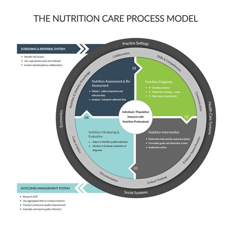 What Is the Nutrition Care Process: A Comprehensive Guide