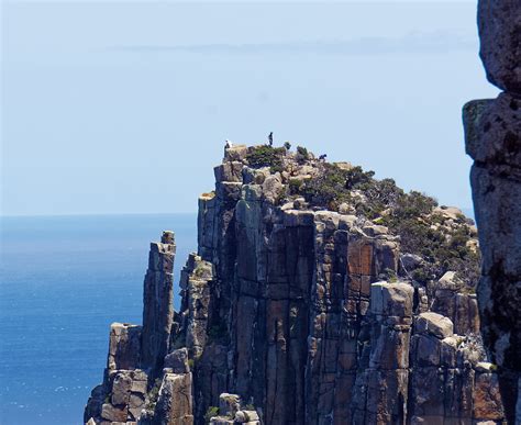 Quick Step Tutorial 的图像结果