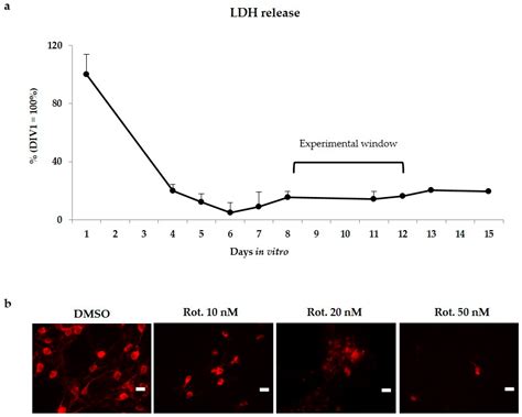 Earliest Mechanisms of Dopaminergic Neurons Sufferance in a Novel Slow ...