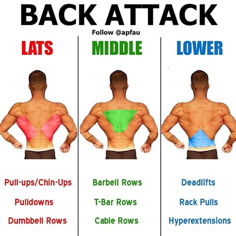 Image result for Lower Back Muscle Strain Exercises