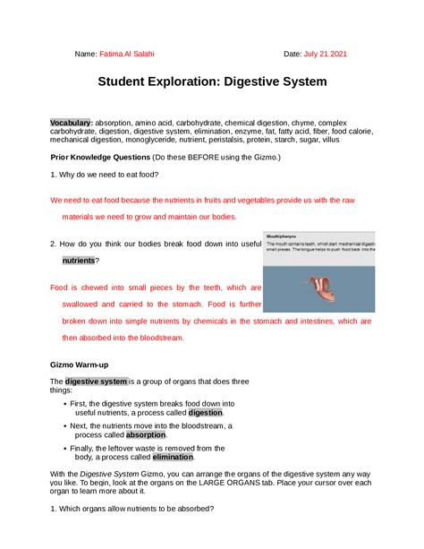 Gizmo Digestive System 2021 Version | All Answers Correct | Graded A+ ...