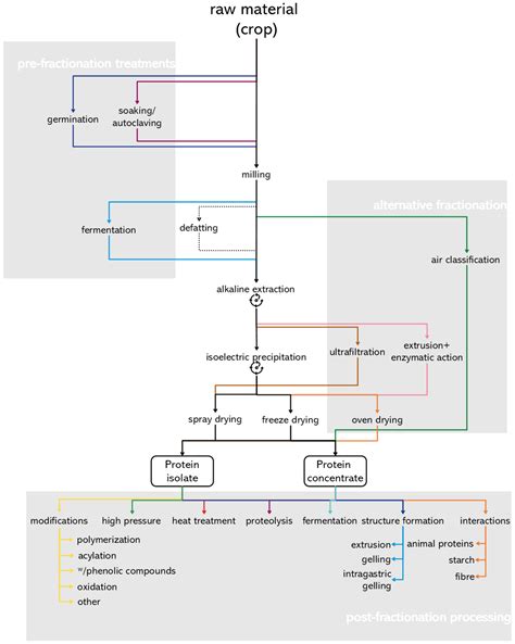 Effect of Fractionation and Processing Conditions on the Digestibility ...