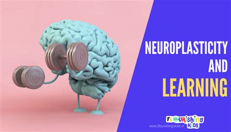 Image result for Neuroplasticity and Learning