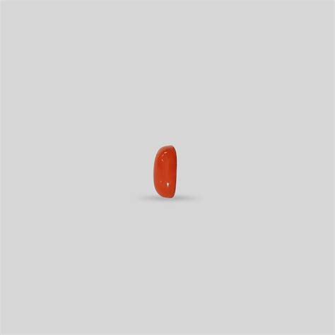 Red Coral - 2.51 Carats (Japanese) – Precious Earth