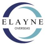 Elayne Overseas - Golden Stainless Steel Cutlery Set Manufacturer ...