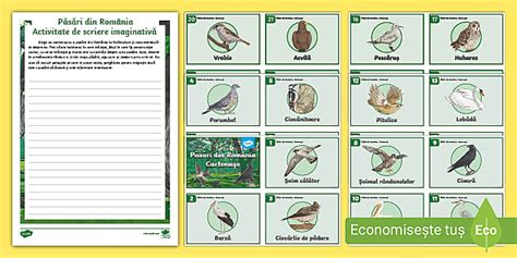 Păsări din România Activitate de scriere imaginativă