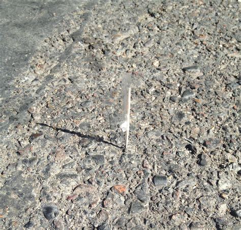 Image result for Broken Toothpick