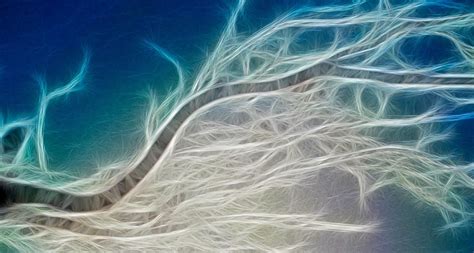 Machine Learning Open Source 的图像结果