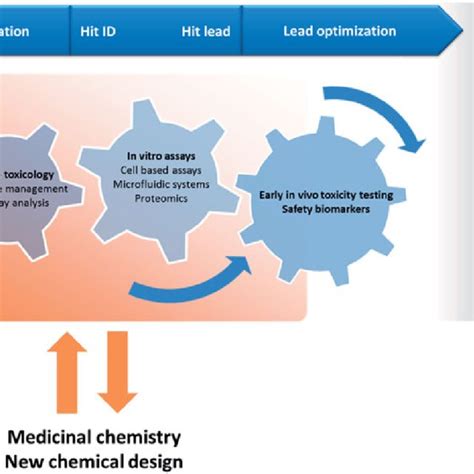 Image result for Drug Development Flowchart