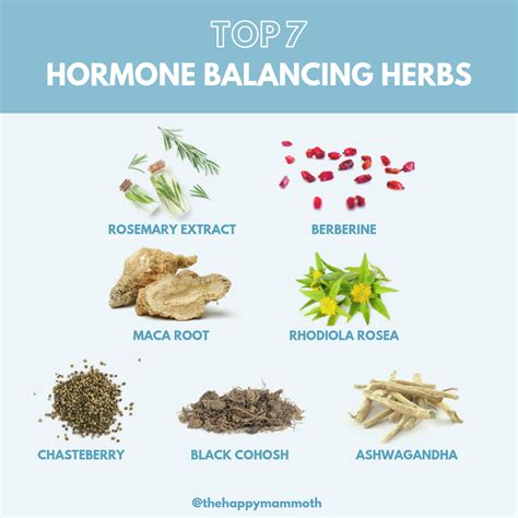 Natural Remedies For Estrogen Balance at Amy Kent blog