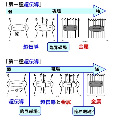 Introduction to Python Coding に対する画像結果