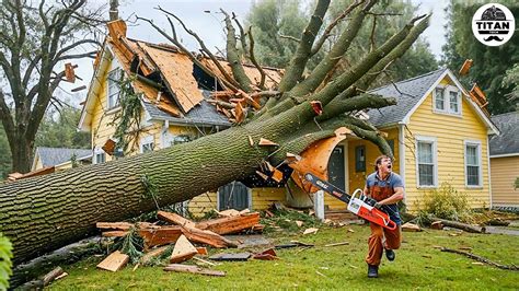 Image result for Chainsaw Tree Fall