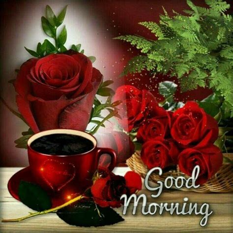 Rose Quotes Good Morning at Alex Cox blog