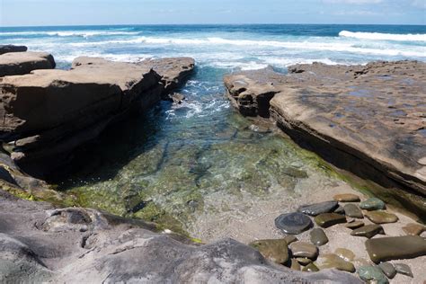 Complete Guide to the La Jolla Tide Pools | LaJolla.com