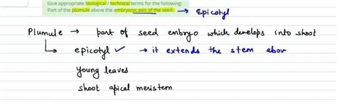Give appropriate biological / technical terms for the following: Part ...