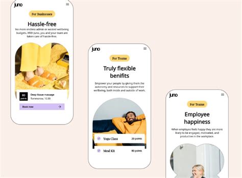 Flutter Programming Language 的图像结果